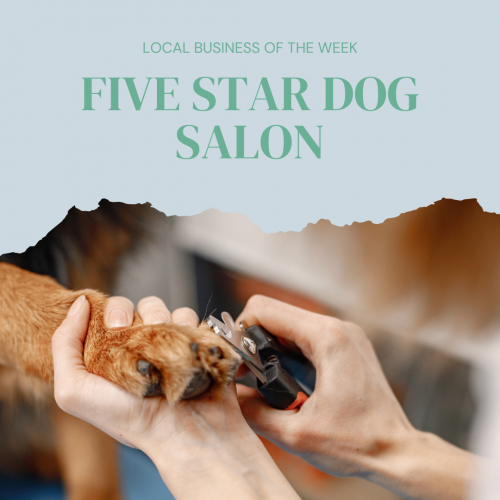 five star dog salon
